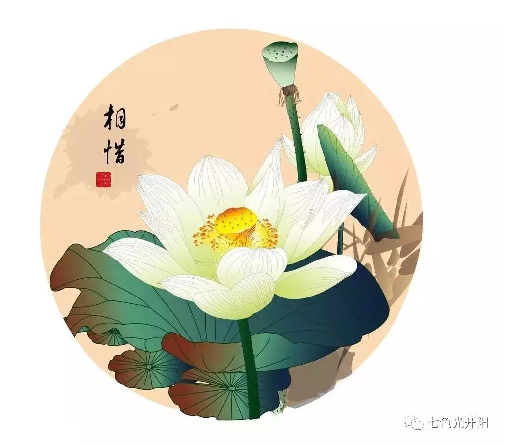 小人无错，君子常过