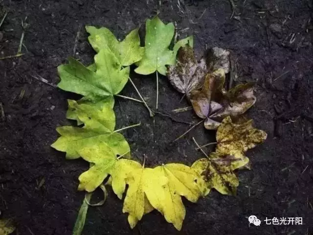 闭嘴！