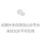 七色光教育集团微官网 6.12日10时58分精彩上线